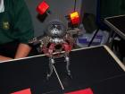 picture of Robot Project
