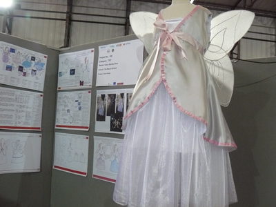 picture of Fairy Dress