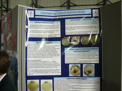 picture of Biomedical Project