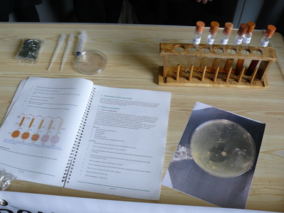 picture of Biomedical Project
